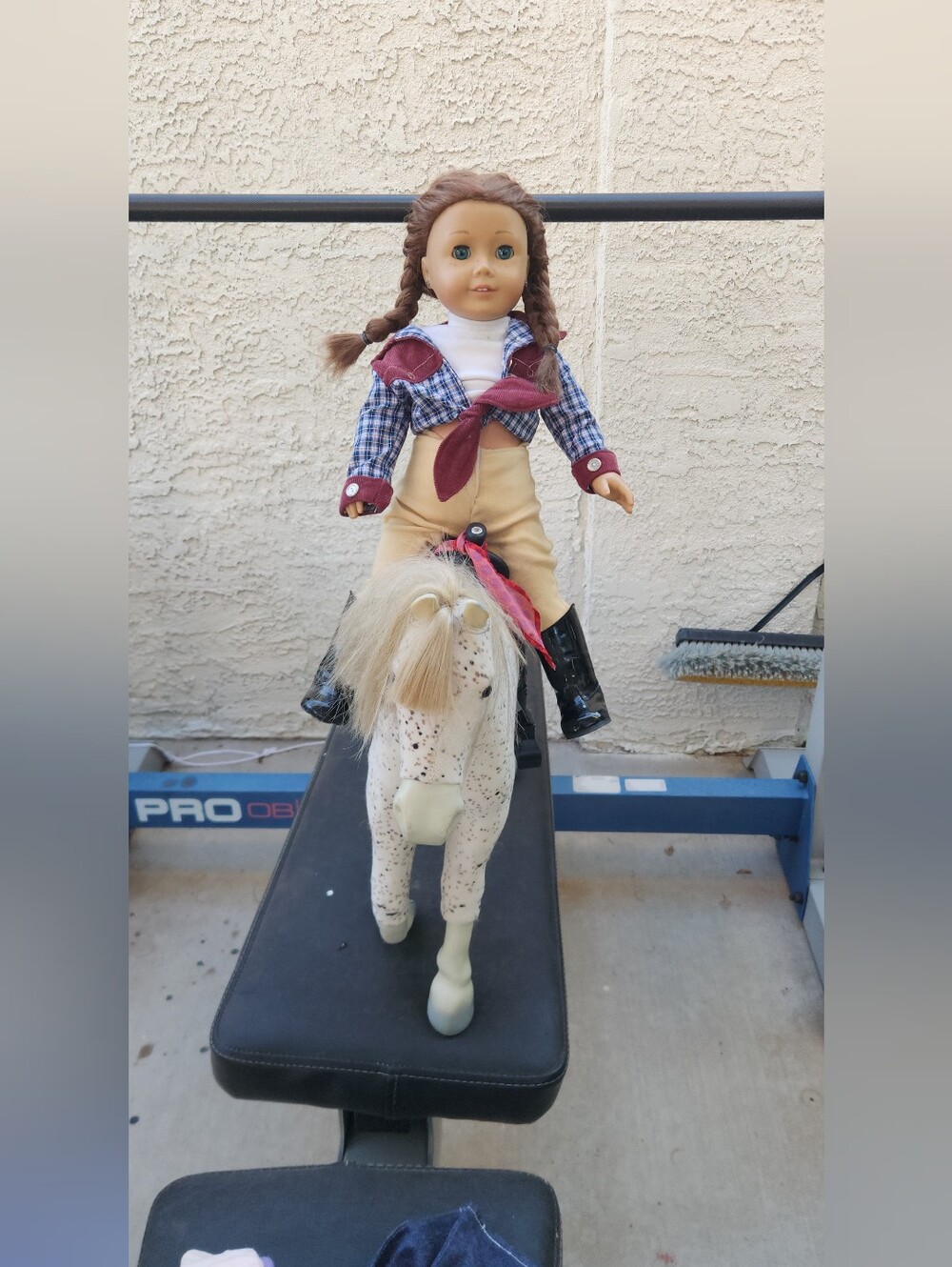 - AMERICAN GIRL DOLL And SAIGE HORSE~BRIDLE~SADDLE - Picture 10 of 10